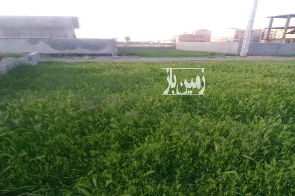 زمین مسکونی ۱۴۵ متری بلوارولایت - تصویر 2