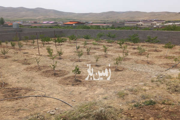 فروش زمین ۱۰۰۰ متر ابسرد جابان سیدآباد-1