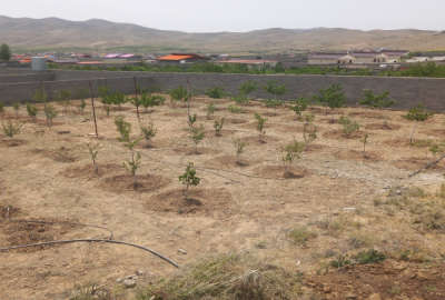 فروش زمین ۱۰۰۰ متر ابسرد جابان سیدآباد