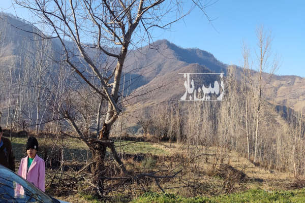زمین ویلایی داخل بافت مینودشت روستای کوه کمر ۳۸۲ متر-3