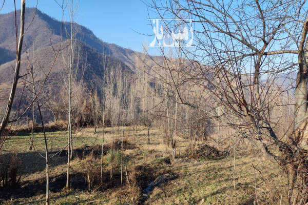 زمین ویلایی داخل بافت مینودشت روستای کوه کمر ۳۸۲ متر-4