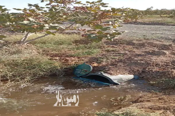 فروش باغ پسته کاشمر خلیل آباد روستای کاهه یک هکتار - تصویر 3