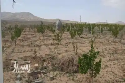 باغ فروشی در فولادمحله سمنان ۱۰۸۰ متر