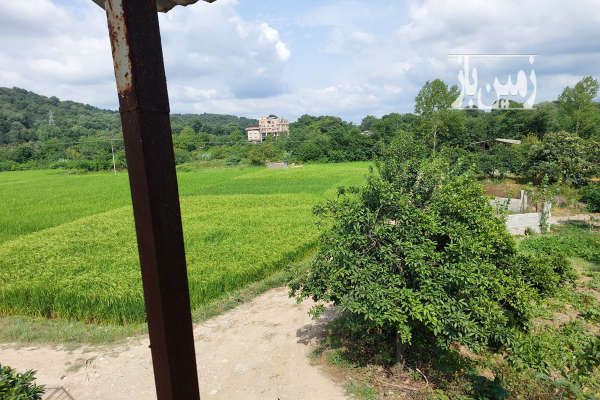 باغ مرکبات و استخر پرورش ماهی بهمراه خونه باغ ۲۸۸۰ متر-3