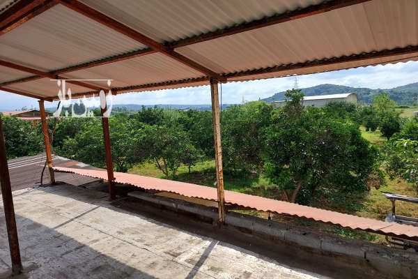 باغ مرکبات و استخر پرورش ماهی بهمراه خونه باغ ۲۸۸۰ متر-4