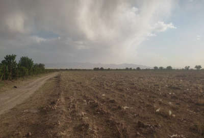 زمین کشاورزی بکر خاک حاصل خیز در خشکرود ۱۶ هکتار