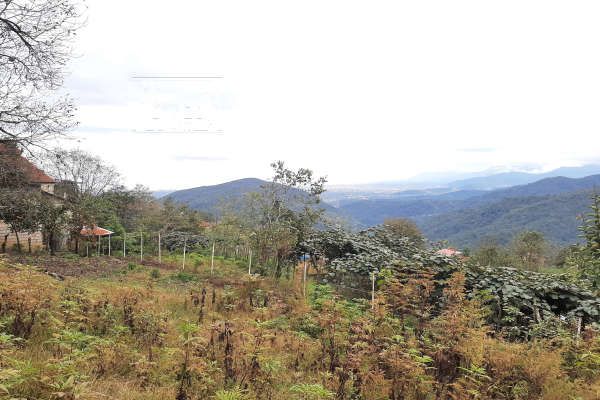 زمین ۶۰۰ متری در تنکابن روستای بالابند بالامحل-2