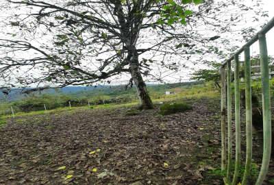 زمین ۶۰۰ متری در تنکابن روستای بالابند بالامحل