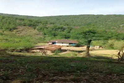 زمین و کلنگی وسط جنگل ۳۰۰۰ متر