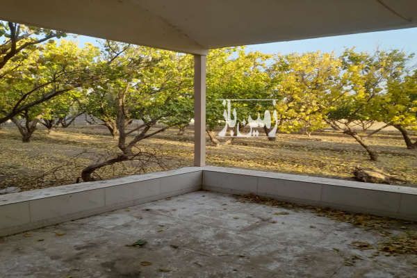 فروش ۳۵۰۰ متر زمین کشاورزی حاصل خیز-1