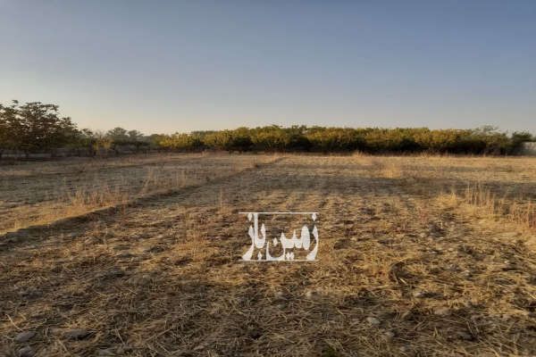 فروش ۳۵۰۰ متر زمین کشاورزی حاصل خیز-2