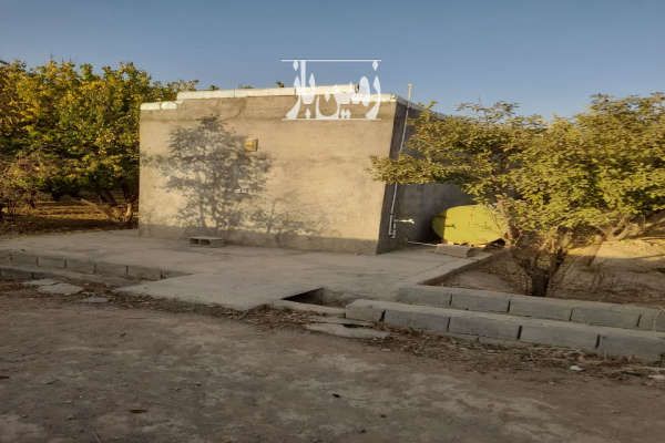 فروش ۳۵۰۰ متر زمین کشاورزی حاصل خیز-3