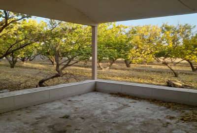 فروش ۳۵۰۰ متر زمین کشاورزی حاصل خیز