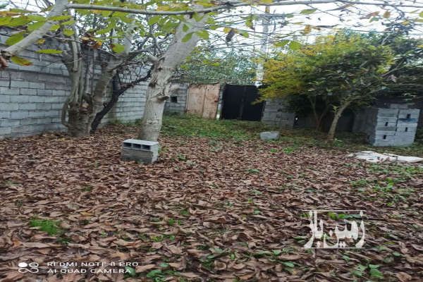 فروش ۲۵۰ متر زمین در ابتدای جاده نظامی-2