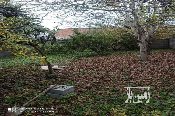 فروش ۲۵۰ متر زمین در ابتدای جاده نظامی-3