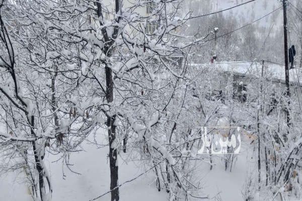 زمین کنار رودخانه با تمام امکانات ۲۳۰ متر-4