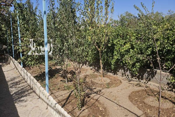 باغ ۴۰۰ متری در قنات بالای روستای وشنوه قم-4