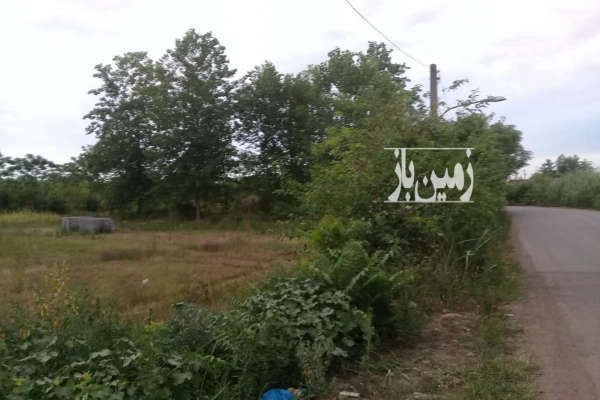 فروش زمین مسکونی در لنگرود روستای دریاکنار ۲۹۷ متر-1