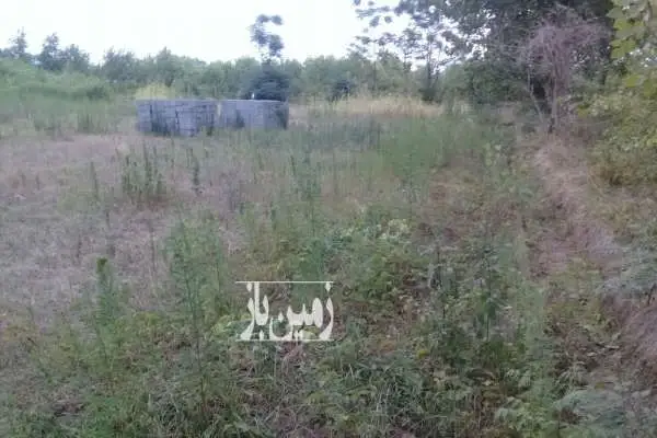 فروش زمین مسکونی در لنگرود روستای دریاکنار ۲۹۷ متر - تصویر 3