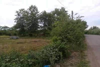 فروش زمین مسکونی در لنگرود روستای دریاکنار ۲۹۷ متر