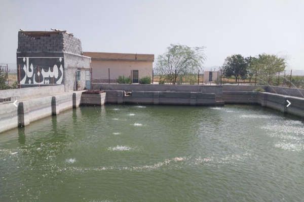 فروش ۵ هکتار زمین در علویجه-1