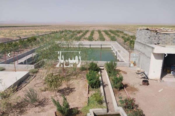 فروش ۵ هکتار زمین در علویجه-3