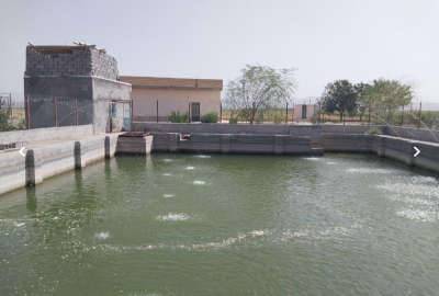 فروش ۵ هکتار زمین در علویجه