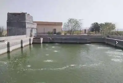 فروش ۵ هکتار زمین در علویجه