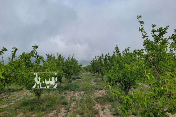 فروش باغ با سویئت نوساز در منطقه توریستی ابر ۲۵۰۰۰ متر-1