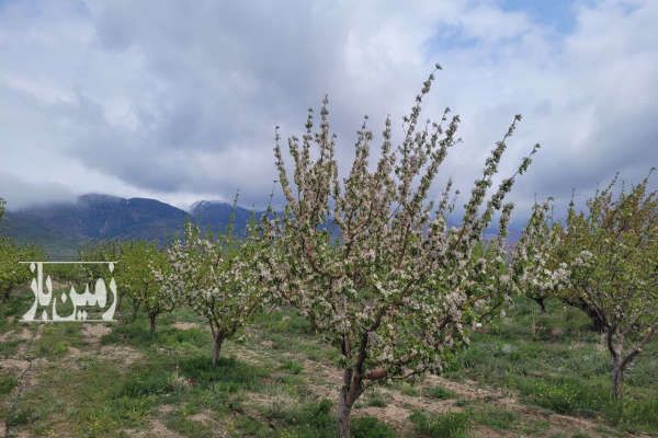 فروش باغ با سویئت نوساز در منطقه توریستی ابر ۲۵۰۰۰ متر-2