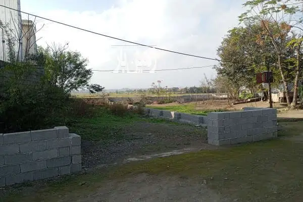 فروش زمین ویلایی تالش روستای تکی اباد ۳۰۰ متر - تصویر 2