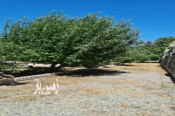 باغچه چهاردیواری دیوارکشی شده شهریار ۸۳۰ متر-3