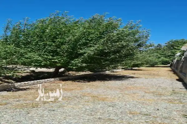 باغچه چهاردیواری دیوارکشی شده شهریار ۸۳۰ متر - تصویر 3