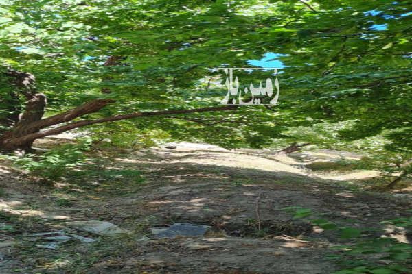 باغچه چهاردیواری دیوارکشی شده شهریار ۸۳۰ متر-4