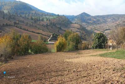 فروش چهاردانگه گرماب روستای خالخیل ۵۰۰ متر
