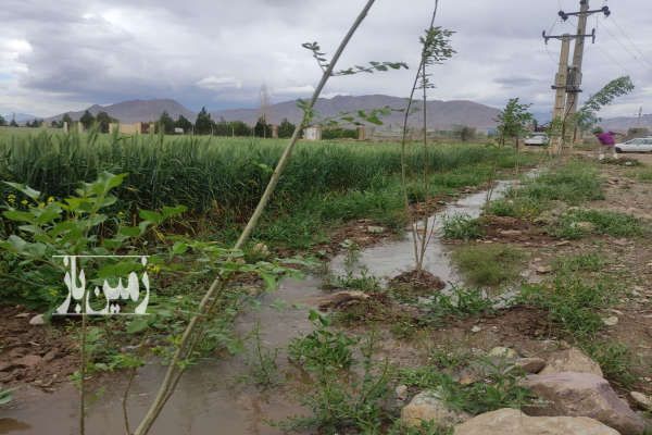 زمین فروشی آبیک قبل روستای گازرسنگ ۱۲۵۰ متر-2