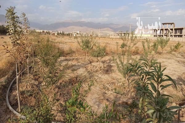 زمین فروشی آبیک قبل روستای گازرسنگ ۱۲۵۰ متر-3