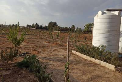 زمین فروشی آبیک قبل روستای گازرسنگ ۱۲۵۰ متر