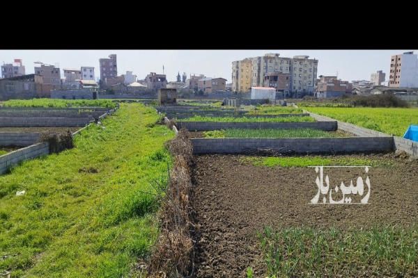 زمین قائمشهر ۱۲۷ متر قائمشهر ترک محله عرفان-1