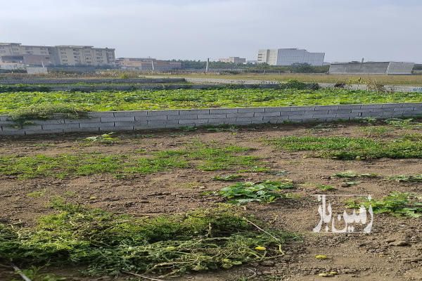 زمین قائمشهر ۱۲۷ متر قائمشهر ترک محله عرفان-2