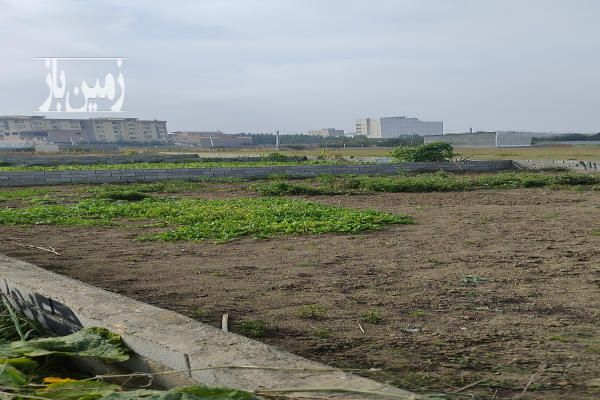 زمین قائمشهر ۱۲۷ متر قائمشهر ترک محله عرفان-3