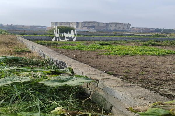زمین قائمشهر ۱۲۷ متر قائمشهر ترک محله عرفان-4