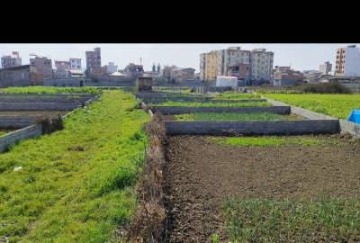 زمین قائمشهر ۱۲۷ متر قائمشهر ترک محله عرفان