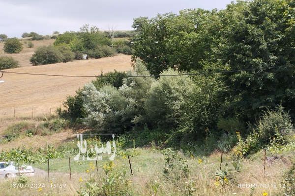 زمین مسکونی در روستای آسیابر از توابع دیلمان ۳۵۰ متر-2