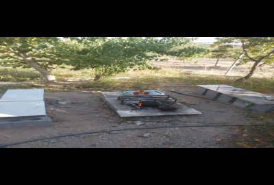 فروش باغ ۷۰۰ متری در شوراب صغیر