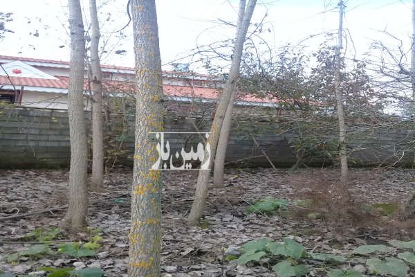 زمین ماسال بر خیابان اصلی ۱۱۱۷ متر روستای کلنگستان-3