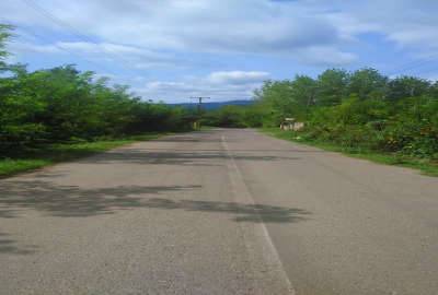 زمین ماسال بر خیابان اصلی ۱۱۱۷ متر روستای کلنگستان