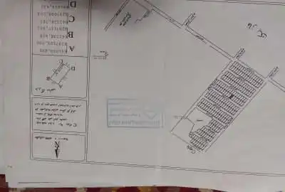 زمین در قصر سبز ۲۵۰ متر