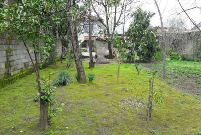 زمین همراه خانه ویلایی و تجاری ۳۵۵ متر