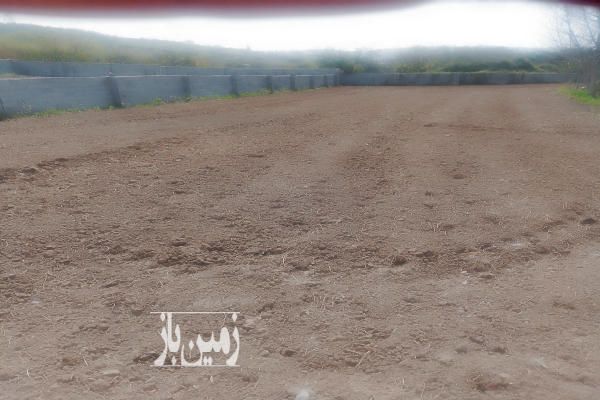 زمین کشاورزی و مسکونی روستای قادیکلا بزرگ ۶۰۰ متر-3